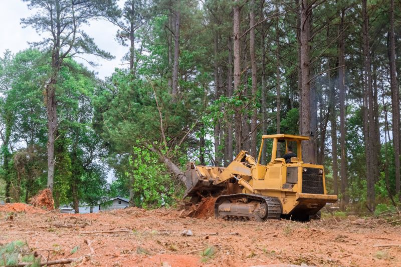 Construction Site Land Clearing in Gwinnett County, GA