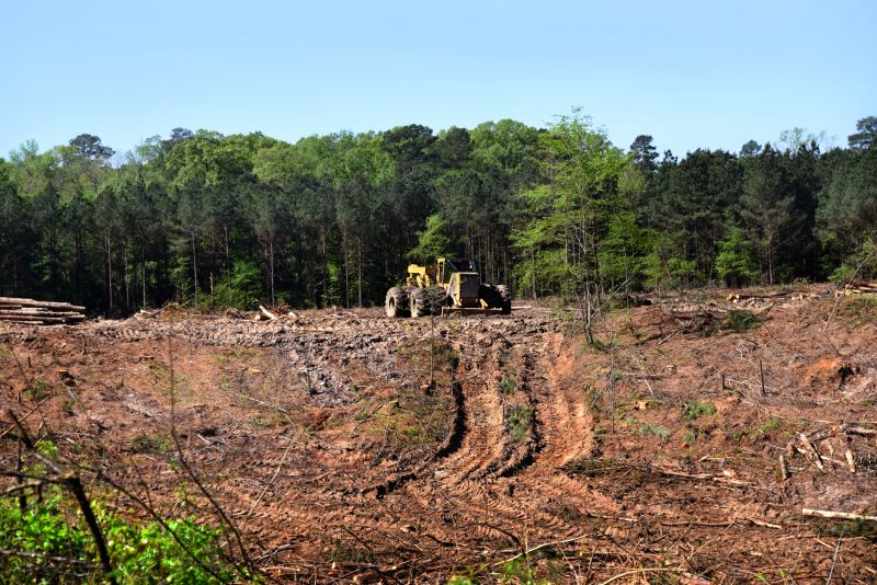 Land Clearing in Gwinnett County, GA