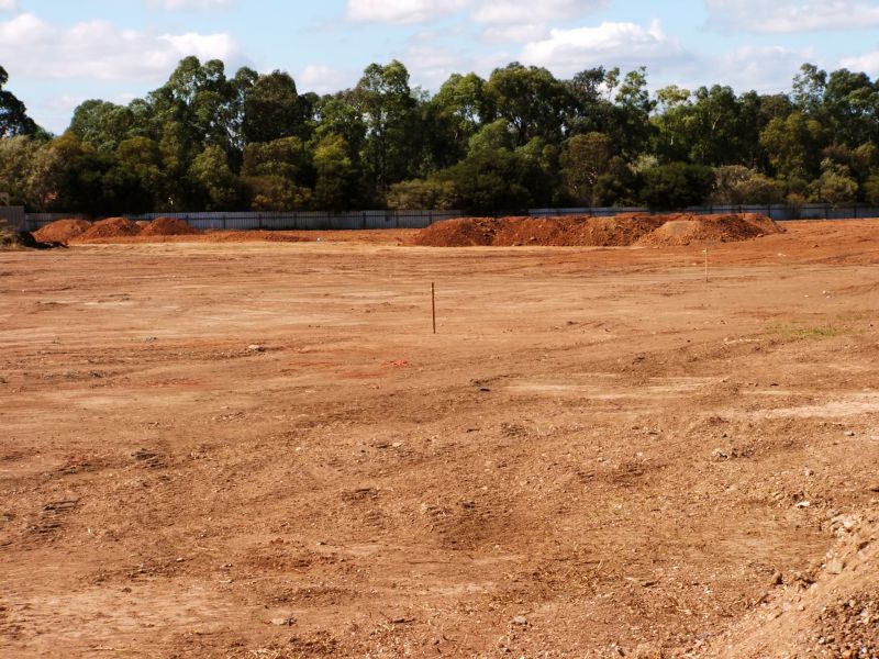 Pool Land Clearing in Cumming, GA