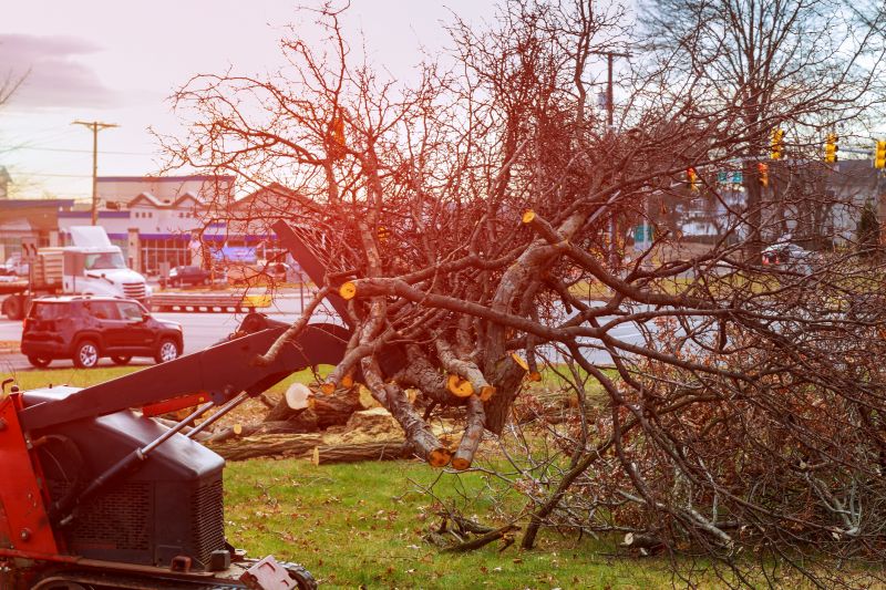 Site Clearing Service in Gwinnett County, GA