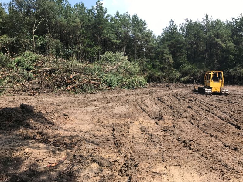Thicket Clearing in Gwinnett County, GA